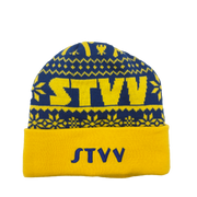 Wintermuts STVV